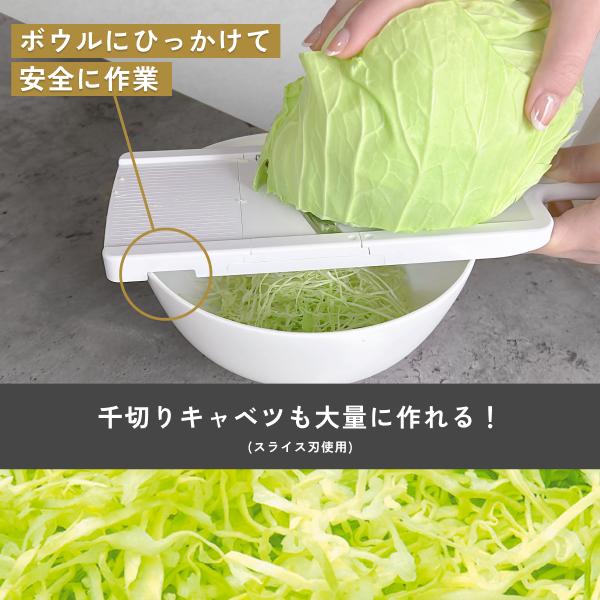 ドリテック 公式 スライサー 3種プレート スライス 太千切り おろし 食