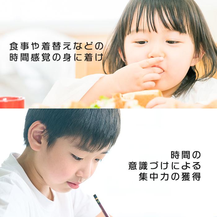 【新色登場】 タイマー 勉強 ドリテック 学習タイマー 勉強タイマー タイマー式学習法 タイムラプス勉強法 受験 テスト 試験 タイマー 子供 学習用 定形外 | ドリテック | 09