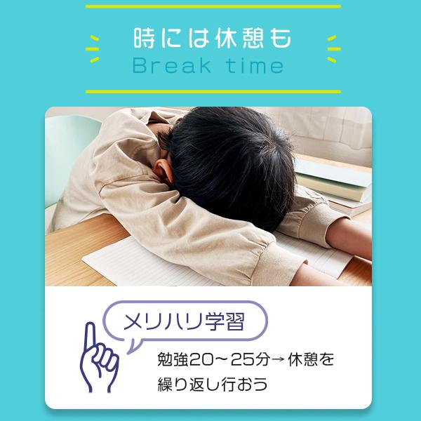 【新色登場】 タイマー 勉強 ドリテック 学習タイマー 勉強タイマー タイマー式学習法 タイムラプス勉強法 受験 テスト 試験 タイマー 子供 学習用 定形外 | ドリテック | 13