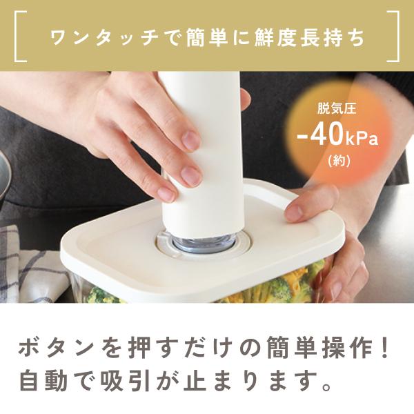 ドリテック 真空ハンディポンプ 真空パック機 保存袋 冷凍 レンジ