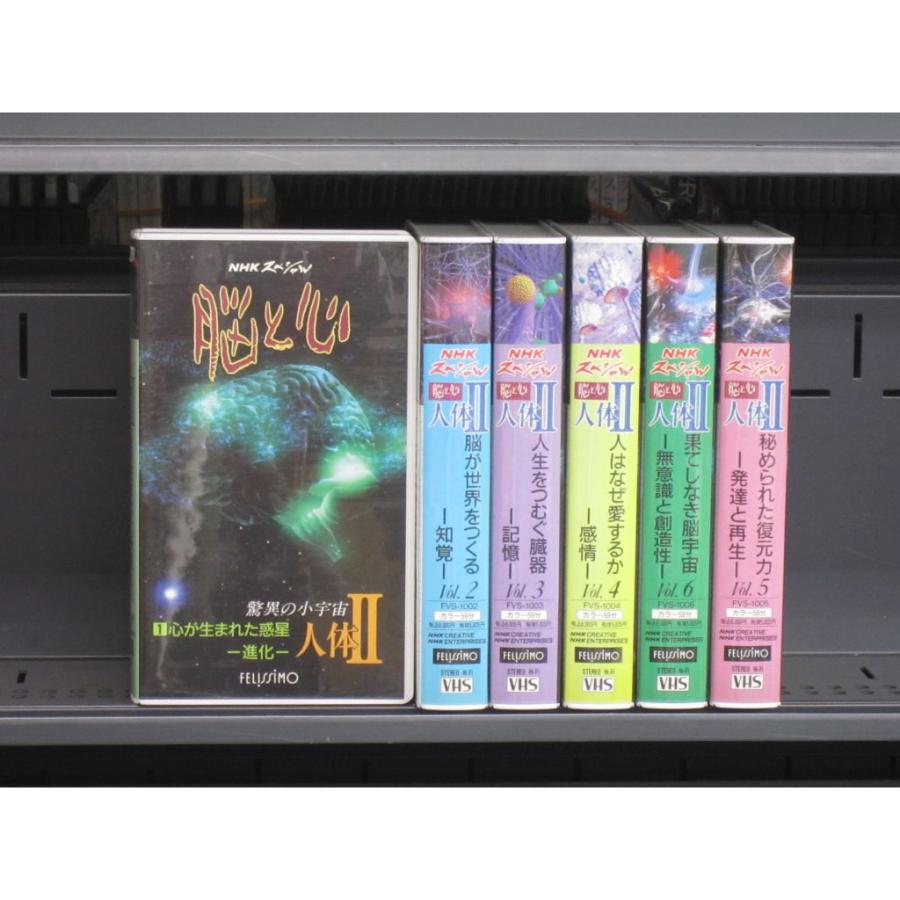 VHSです NHK スペシャル 驚異の小宇宙 人体II 脳と心 1〜6 全6巻 全巻