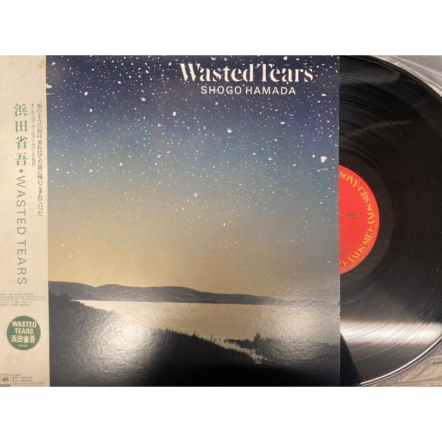 浜田省吾 / Wasted Tears 国内盤 (帯汚れ) : ディスクユニオン昭和歌謡