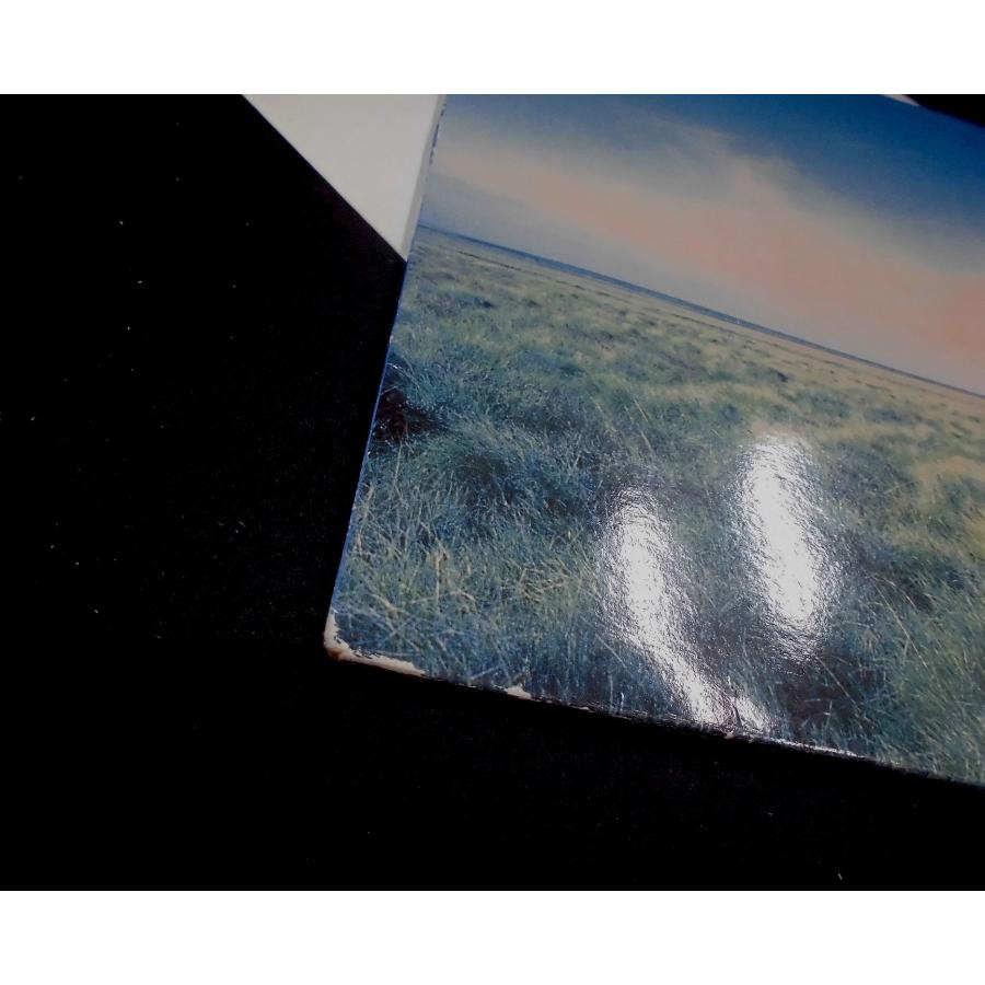 □UK-Creation Recordsオリジナル12”,45rpm!! Oasis / Whatever