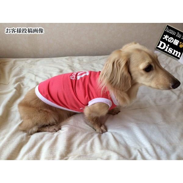 犬服 adidog メッシュタンクトップ（小型犬用）犬の服２点購入でメール便送料無料 ドッグウェア チワワ トイプードル ヨークシャテリア ミニチュアダックス 春夏｜dism｜06