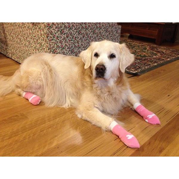 犬用靴下 ドッグソックス リボン柄 ピンク 滑り止めゴム付き 小型犬 中型犬サイズ メール便なら送料無料 犬服 ドッグウェア 犬の服 肉球の保護や足舐め防止 B Ll508 犬の洋服屋さん Yahoo 店 通販 Yahoo ショッピング