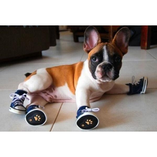 犬の靴 ドッグスニーカー デニム 小型犬から中型犬用ドッグシューズ 犬のクツ メール便送料無料 肉球の保護や足舐め防止にも B Nb501 犬の洋服屋さん Yahoo 店 通販 Yahoo ショッピング