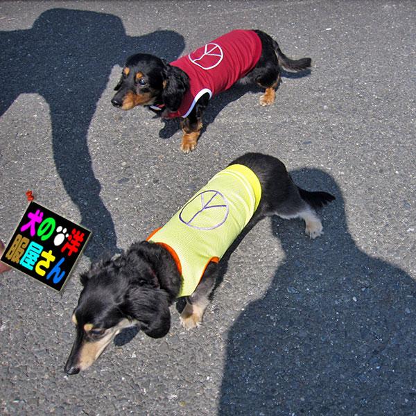 【たんけん】犬服タンクトップ 犬服 ピースマーク メッシュタンクトップ（超小型犬用）チワワ