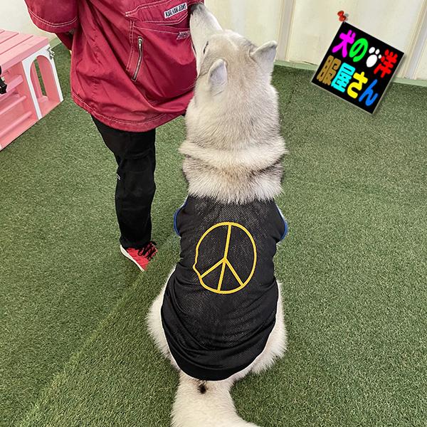 Ann Demeulemeester　犬タンクトップ Ann Demeulemeester 犬タンクトップ