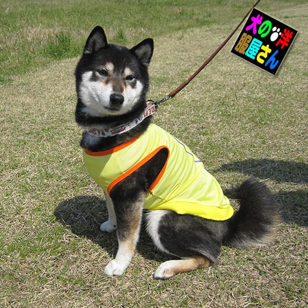 犬服 ピースマーク メッシュタンクトップ（超小型犬用）チワワ