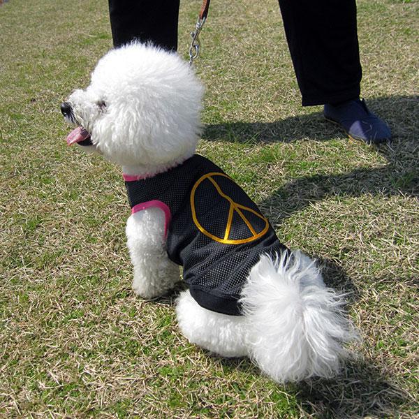 M☆C様❤️恐竜メッシュ♡フード付♡きタンクトップ♡ハンドメイド犬服♡ M☆C様❤️恐竜メッシュ♡フード付♡きタンクトップ♡ハンドメイド