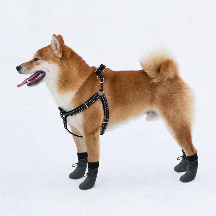 ドッグブーツ アウトドア スポーツペットソックス（小型犬 中型犬 大型