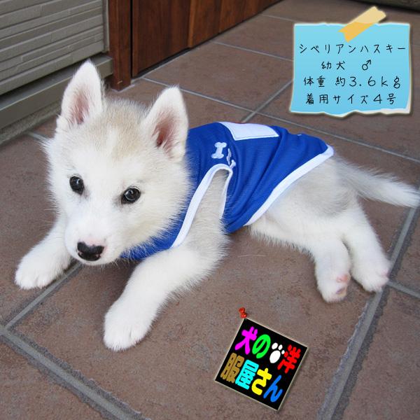 犬服 旧デザイン JAPANメッシュタンクトップ ( 中型犬用 ) サッカー