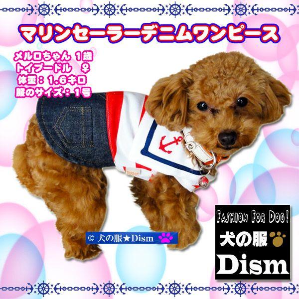 犬服 マリンセーラーデニムワンピース（小型犬・中型犬用）犬の服2点