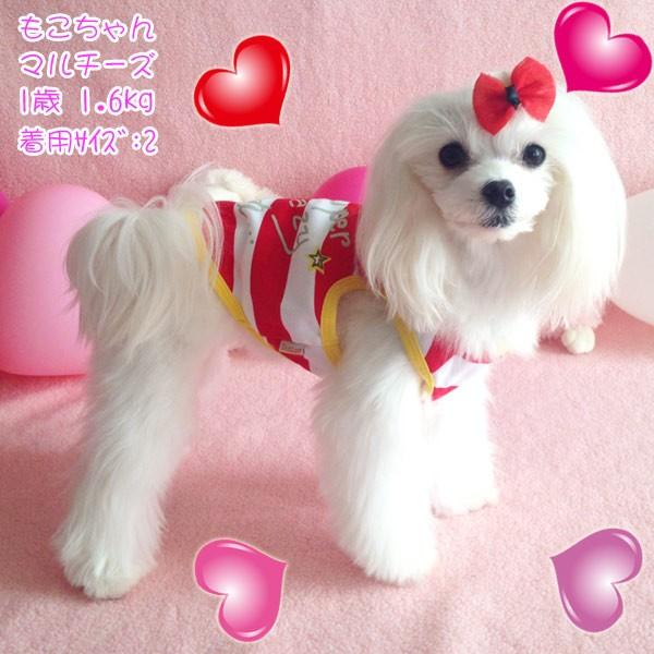 犬服 リボン付きタンクトップ Super Crazy Cute（大型犬用）犬の服2点