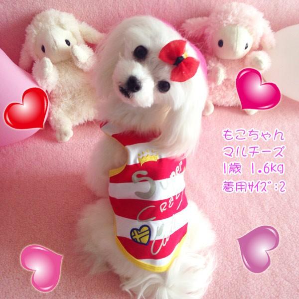 犬服 リボン付きタンクトップ Super Crazy Cute（大型犬用）犬の服2点