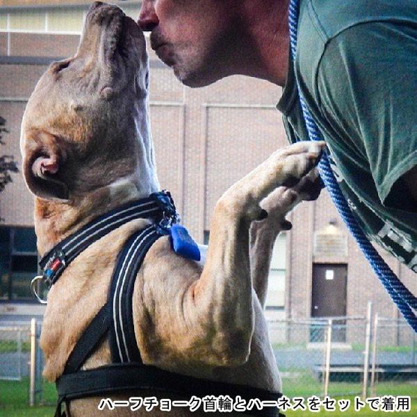 犬用ハーネス コンフォートフレックス スポーツハーネス ブラック