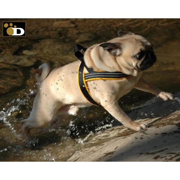 犬用ハーネス コンフォートフレックス スポーツハーネス イエロー