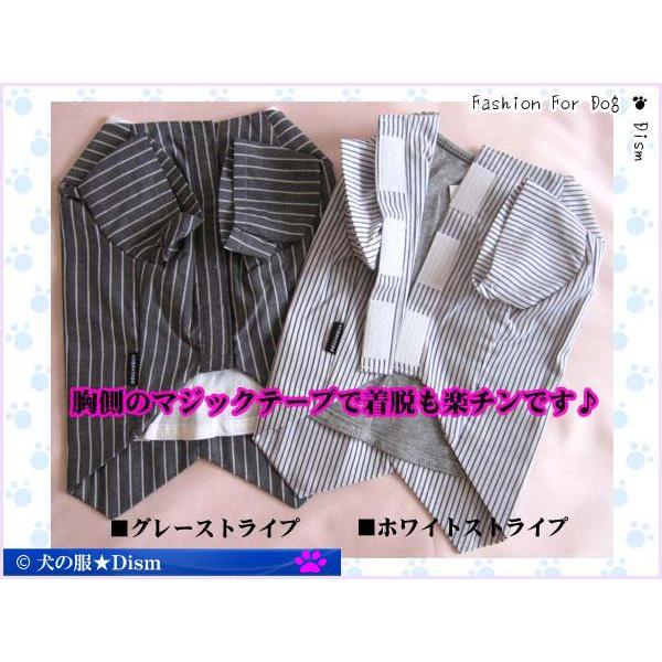 在庫処分 犬服 タキシード 小型犬 中型犬用 犬の服２点購入でメール便送料無料 ドッグウェア ドギードリー Doggydolly Dd C018 C019 犬の洋服屋さん Yahoo 店 通販 Yahoo ショッピング