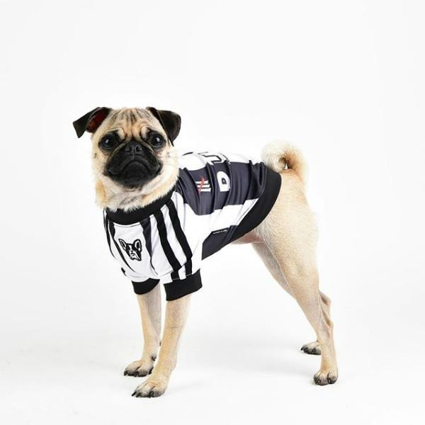 犬服 サッカーウェア Dtrn Fc ユニフォーム 超小型犬 小型犬 中型犬用 犬の服２点購入でメール便送料無料 チワワ トイプードル 柴犬 パグ フレンチブルドッグ Dtab Fc1001 犬の洋服屋さん Yahoo 店 通販 Yahoo ショッピング