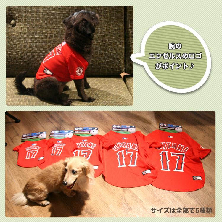 犬服 MLB公式 大谷翔平モデル ユニフォーム ジャージ エンゼルス（XS Sサイズ 小型犬用）チワワ トイプードル ダックス  パグ ヨークシャテリア ポメラニアン｜dism｜05