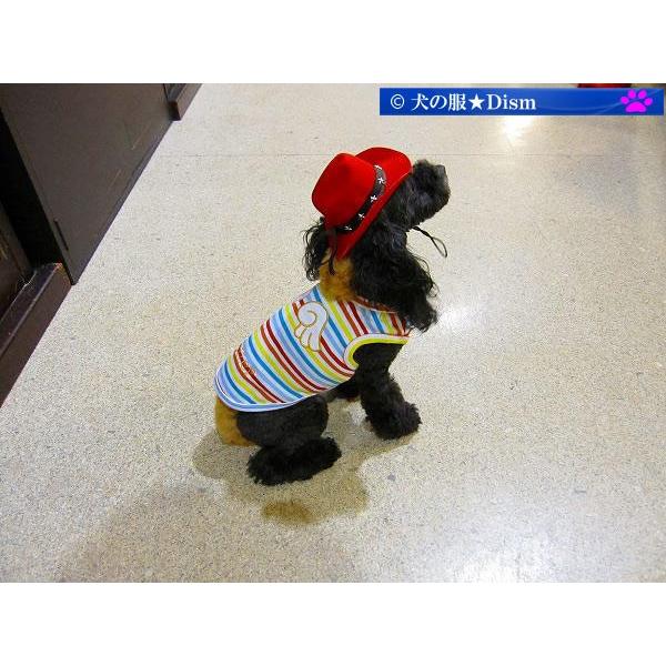 カウボーイハット レッド 犬の帽子 |  | 01