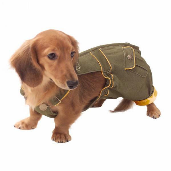 犬服 アイリスオーヤマ ペコレ おむつカバー MDサイズ（ダックス