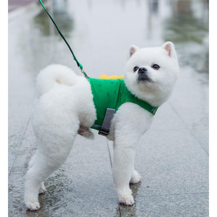 犬 撥水ベスト型ハーネス 恐竜ハーネス リード付き（小型犬 中型犬用
