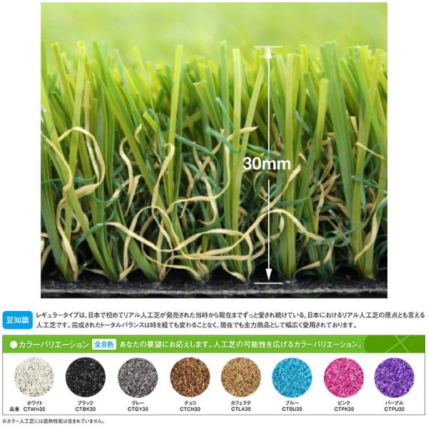 カラー人工芝 クローバーターフ カラータイプ パープル 1m×10m 草丈30mm（プロ仕様・防炎試験適合）の画像