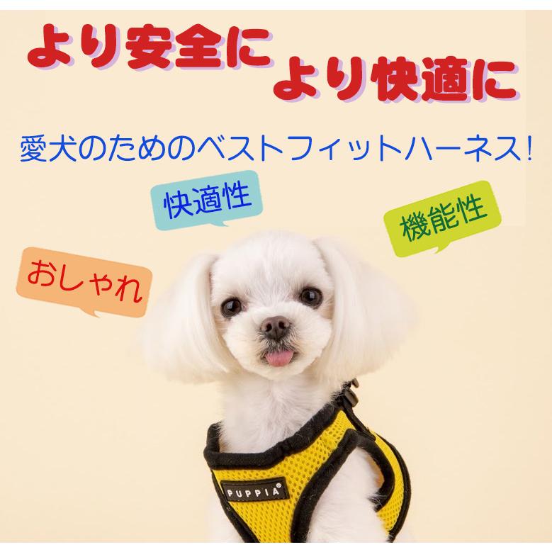 pupupi様 リクエスト 5点 まとめ商品 POPMART/ポップマート】HACIPUPU ハチププ Gummy Bear シリーズ