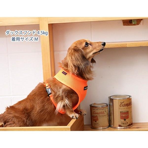 pupipu専用 4582151250115_01.jpg