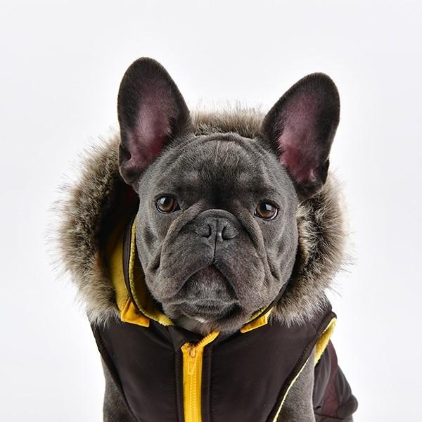 SIVI ブラック フリース犬服 フード付き Amazon | ズートピア 犬服