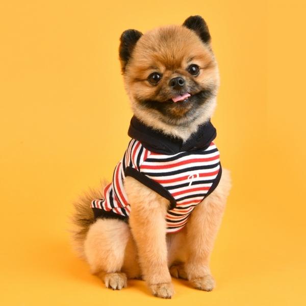 犬服 Puppia マリンパーカー Skipper Xlサイズ 中型犬用 メール便対応商品2点以上購入で送料無料 パピア 柴犬 コーギー フレンチブルドッグ ビーグル パグ Ppa Paua Ts1812 2 犬の洋服屋さん Yahoo 店 通販 Yahoo ショッピング