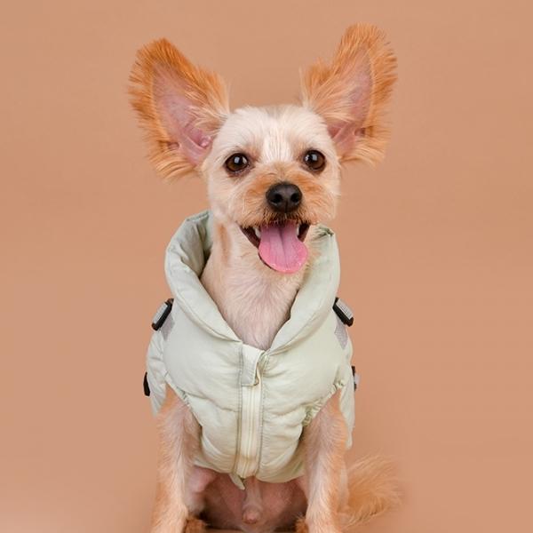 puppia クリーム色 ダウンジャケット犬服 Puppia（パピア） 犬服 ハーネス一体型コットンパディングジャケット