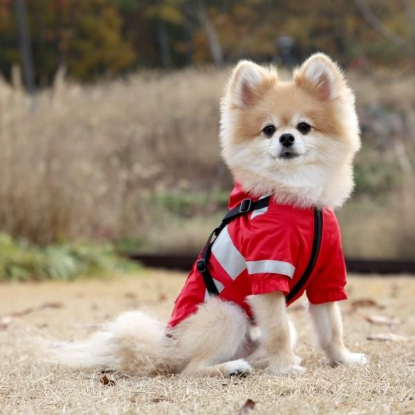 サイズXL ベージュ puppia ハーネス付きダウンジャケット イタグレ 防寒 楽天市場】パピア ハーネスジャンパーの通販