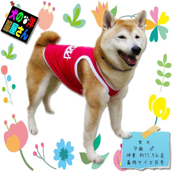 犬服 SPORT メッシュタンクトップ ランニングタイプ（中型犬用）犬の服