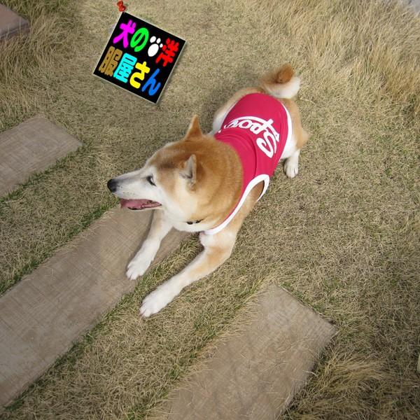 【eee】犬服タンクトップ 犬服 JAPAN メッシュタンクトップ ( 小型犬用 ) 日本代表