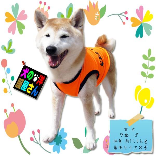 犬服 メッシュタンクトップ SECURITY セキュリティ スタイルN（中型犬 