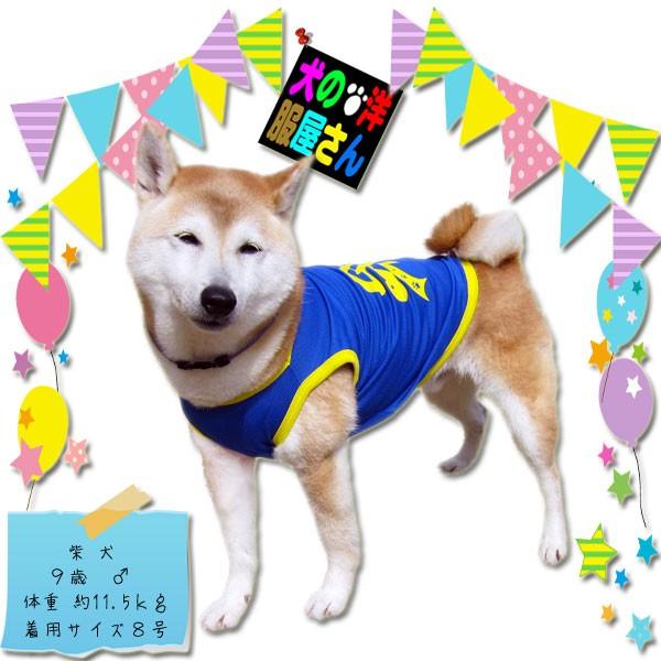 犬服 SPORT メッシュタンクトップ（中型犬用）犬の服2点購入でメール
