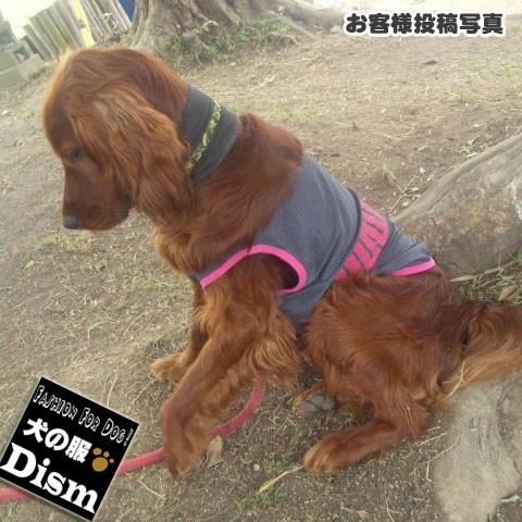 犬服 PUWAN メッシュタンクトップ（超小型犬・ネコ用）犬の服2