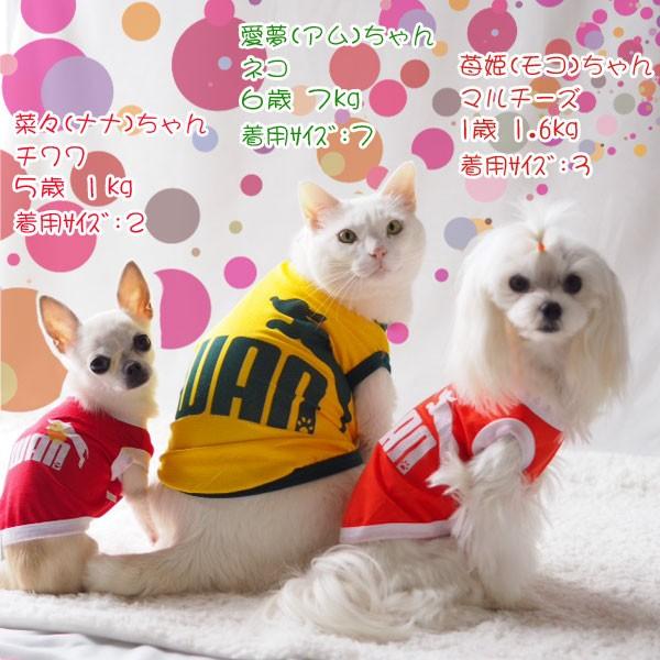 【putti】犬服タンクトップ 犬服 PUWAN メッシュタンクトップ（超小型犬・ネコ用）犬の服2