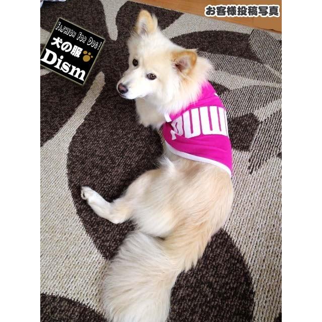 犬服 PUWAN メッシュタンクトップ（超小型犬・ネコ用）犬の服2