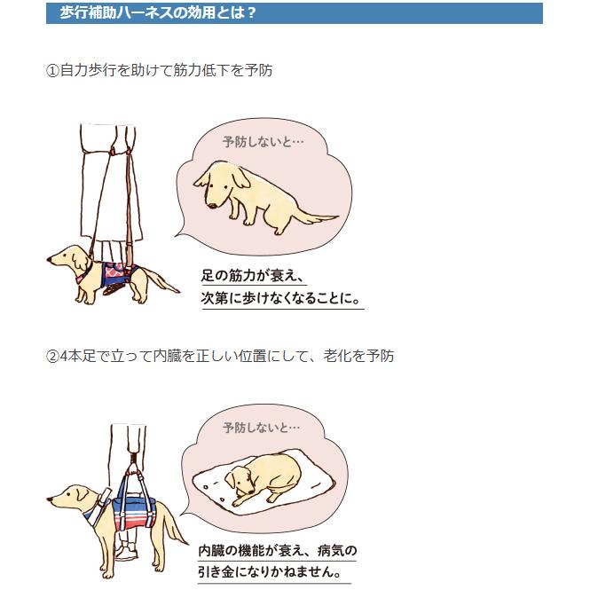 大型犬 中型犬用 歩行補助ハーネス ララウォーク スカーレットメッシュ  LaLaWalk 介護用ハーネス 柴犬 ラブラドールレトリバー ゴールデンレトリバー_15