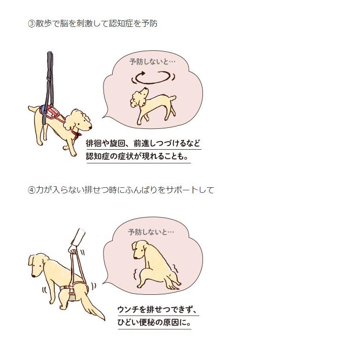 大型犬 中型犬用 歩行補助ハーネス ララウォーク スカーレットメッシュ  LaLaWalk 介護用ハーネス 柴犬 ラブラドールレトリバー ゴールデンレトリバー_16