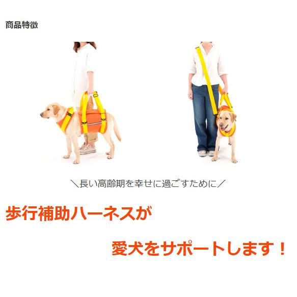 大型犬 中型犬用 歩行補助ハーネス ララウォーク スカーレットメッシュ