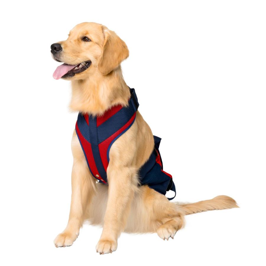 介護用ハーネス 中型犬 赤と紺のストライプ 犬 介護 ハーネス 介護服 介護用ハーネス 大型犬 中型犬 歩行