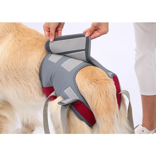 大型犬用 介護用ハーネス 歩行補助ハーネス LaLaWalk Hip