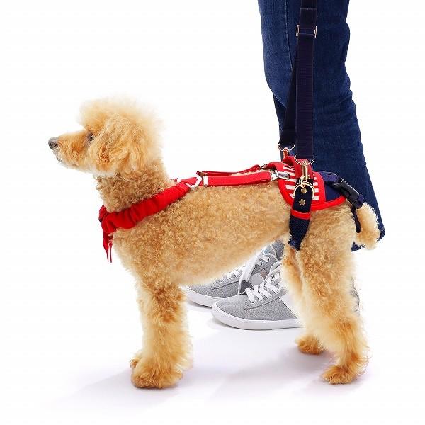 小型犬用 歩行補助ハーネス LaLaWalk ホールド セーラーマリン 後足用