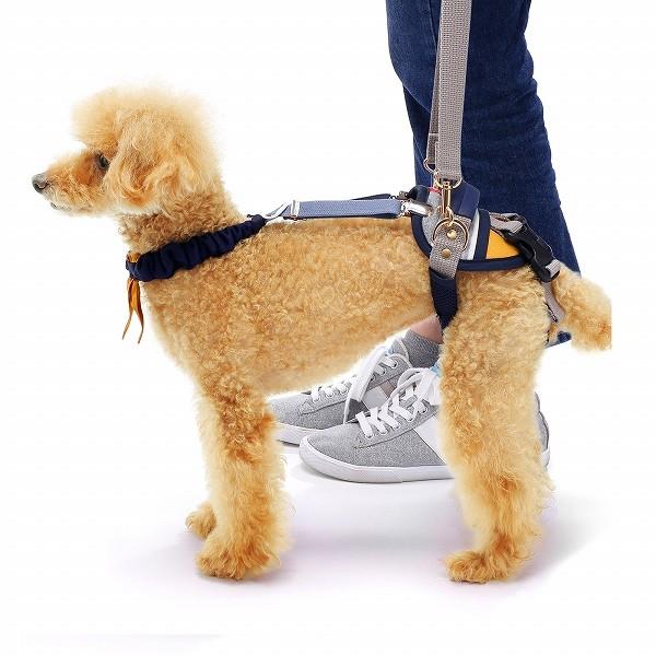 小型犬用 歩行補助ハーネス LaLaWalk ホールド ボーダーマスタード 後