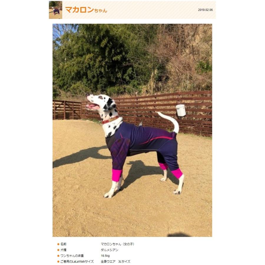 犬服 保温 ストレッチ素材 全身ウェア アクティブワン グラデーション 中型犬 大型犬用 秋冬服 柴犬 プードル ゴールデンレトリバー ラブラドールレトリバー Wd 2tg0302 犬の洋服屋さん Yahoo 店 通販 Yahoo ショッピング