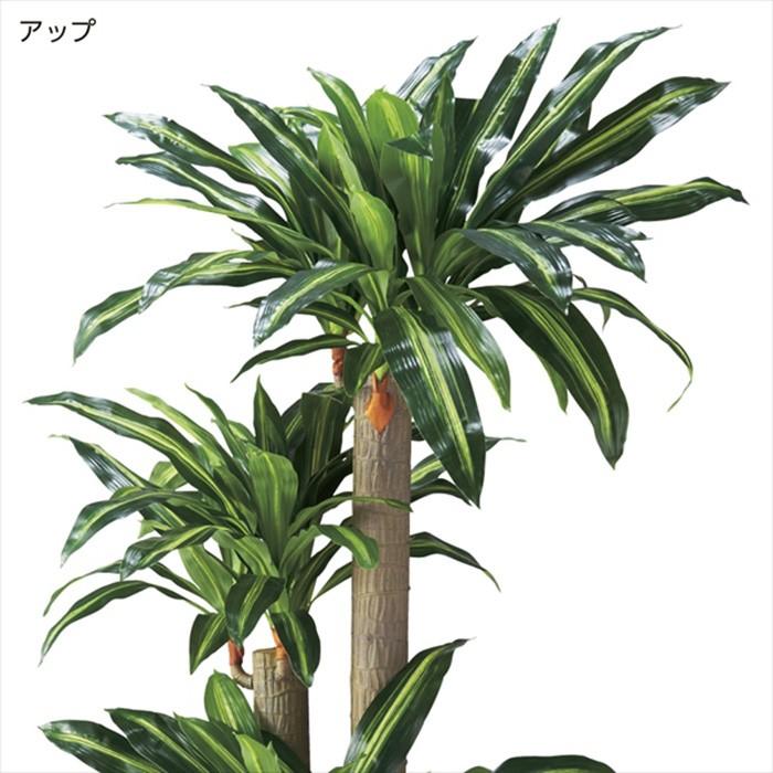 フェイクグリーン 人工樹木 立ち木 高さ180cm 幸福の木 EX6-428-24-1の画像